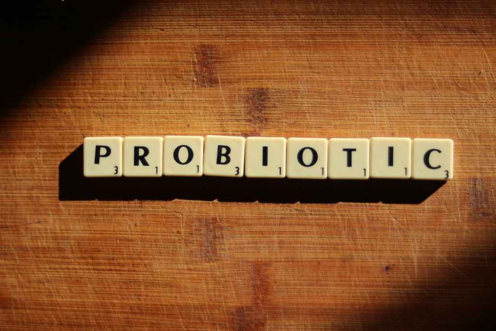 probiotics and prebiotics (gut health and overall longevity, rebuilding intestinal lining)